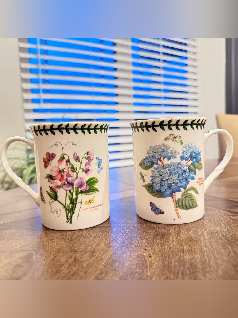 Portmeirion Botanic Garden Mug Set Hydrangea Sweet Pea Made in England 1978